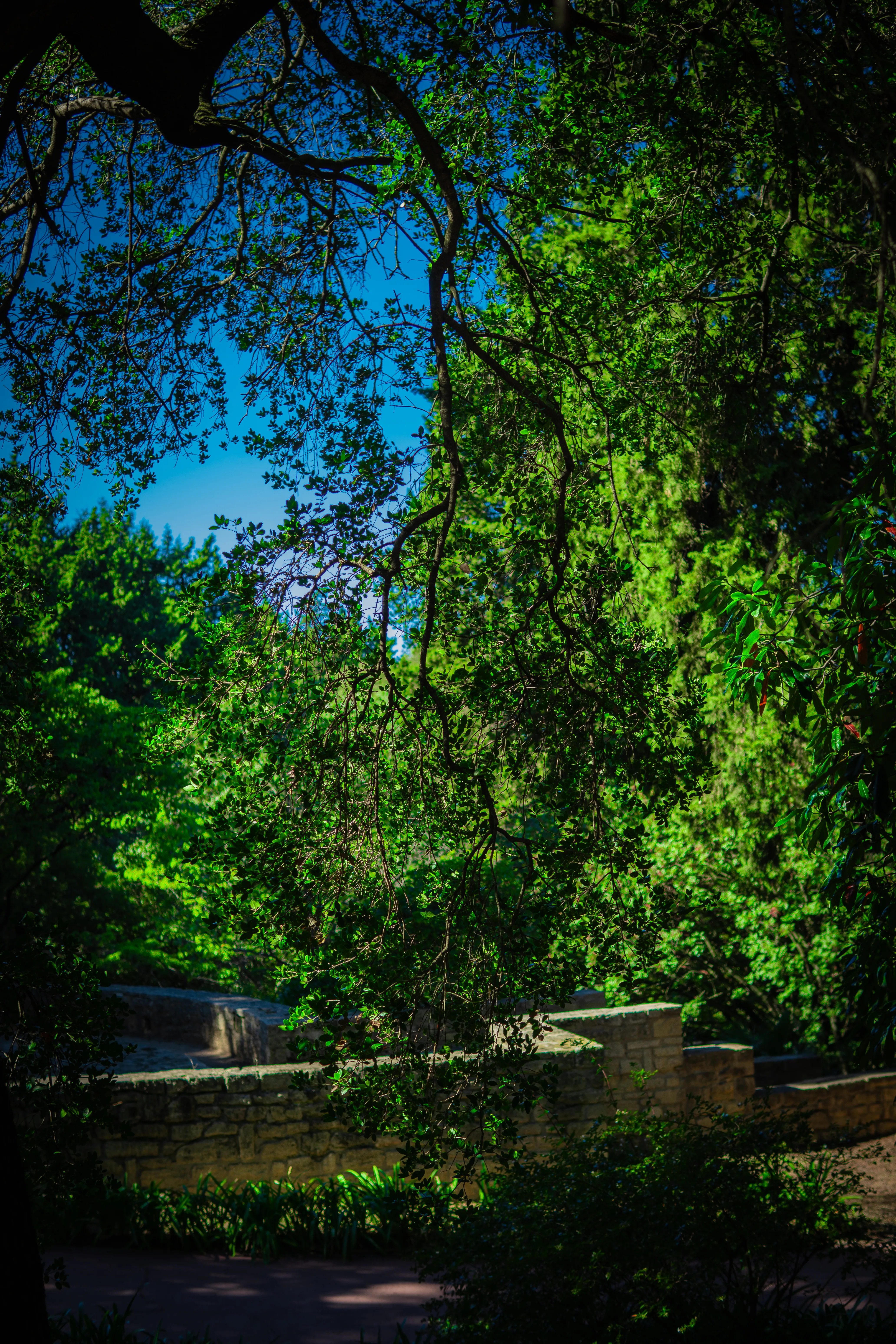 Image parc